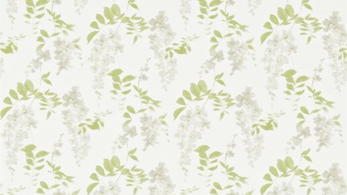 WISTERIA BLOSSOM DCHK213742