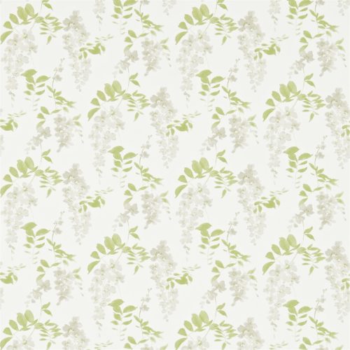 WISTERIA BLOSSOM DCHK213742