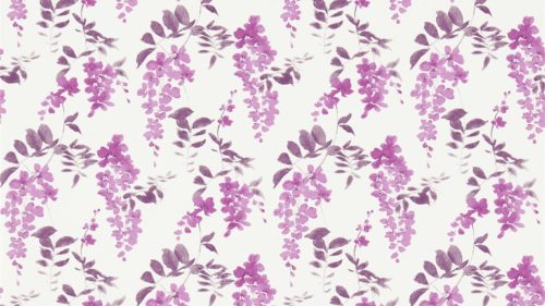 WISTERIA BLOSSOM DCHK213743