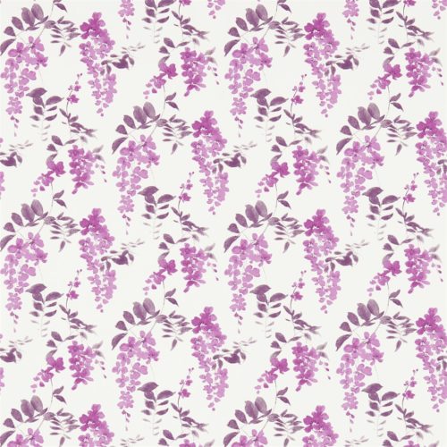 WISTERIA BLOSSOM DCHK213743