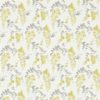 WISTERIA BLOSSOM DCHK213744