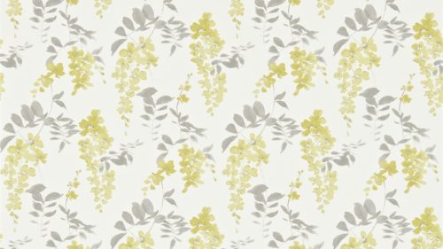WISTERIA BLOSSOM DCHK213744