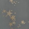 ALL STAR BG0300201