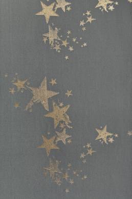 ALL STAR BG0300201