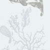 CORAL BG0900202