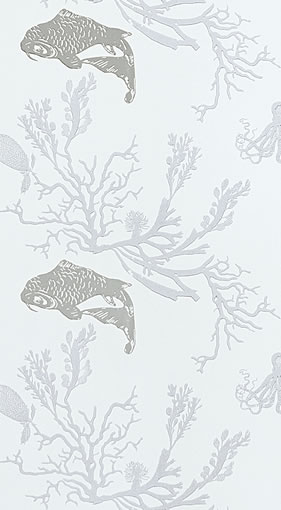 CORAL BG0900202