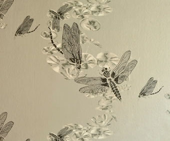 DRAGON FLY BG0600201