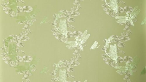 DRAGON FLY BG0600202