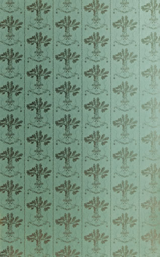 LUCKY CHARMS BG0600101