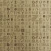TYPECAST BG0400201