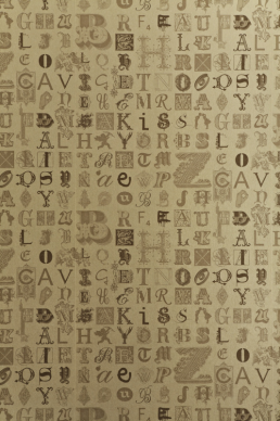 TYPECAST BG0400201