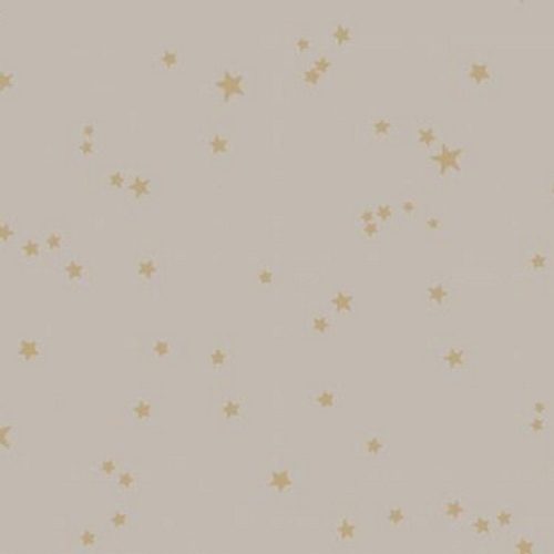 STARS 103-3013