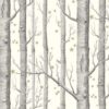 WOODS&STARS 103-11050