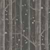 WOODS&STARS 103-11053