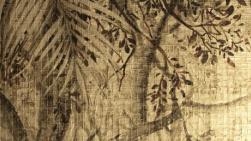 TROPIC 75501