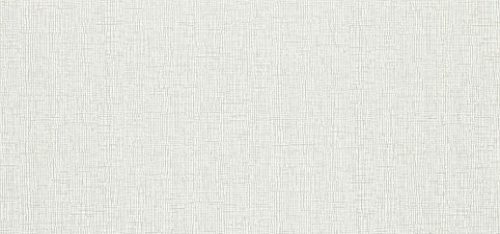 ACCENT 110924