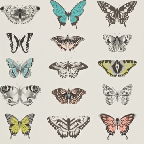 PAPILIO 111077