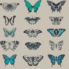 PAPILIO 111078