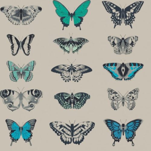 PAPILIO 111078