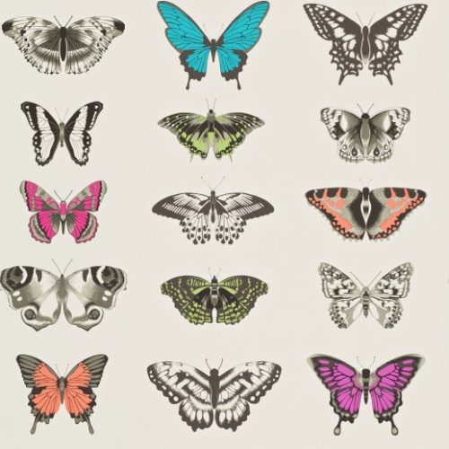PAPILIO 111079