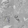 AMBORELLA 111223