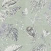 AMBORELLA 111224