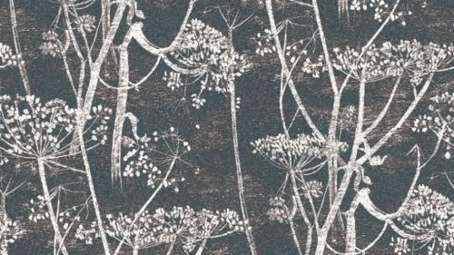 COW PARSLEY 66-7046
