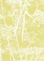 COW PARSLEY 66-7051