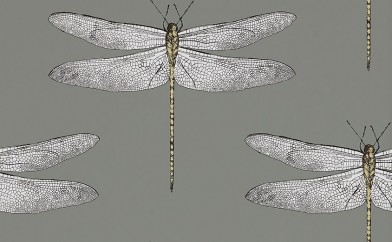 DEMOISELLE 111242
