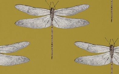 DEMOISELLE 111244