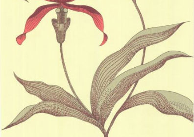 ORCHID 66-4033