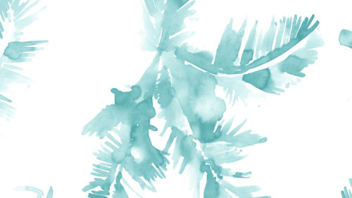 PALMERAS  4800041