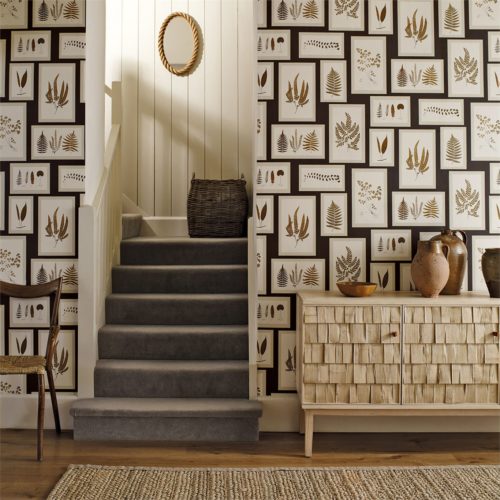 Fern Gallery 215712