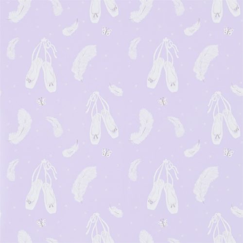 Ballet Shoes 214019