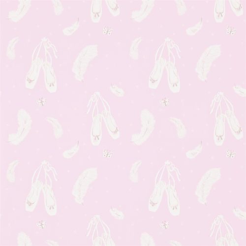 Ballet Shoes 214022