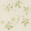 Chestnut Tree 215707