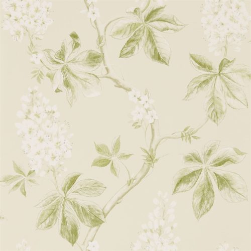 Chestnut Tree 215707