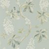 Chestnut Tree 215708