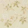 Chestnut Tree 215709