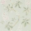 Chestnut Tree 215710