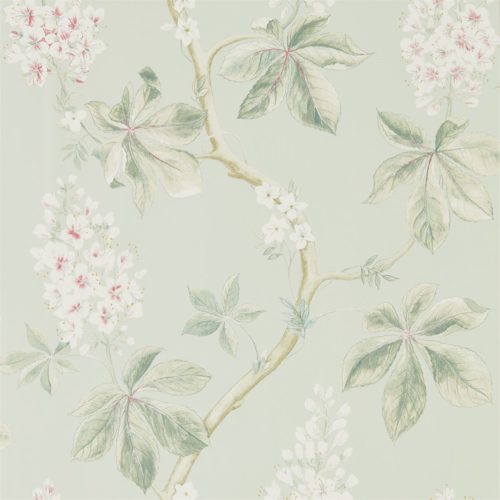 Chestnut Tree 215710