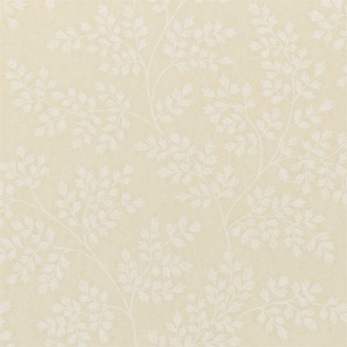 Coralie DCAVCO104