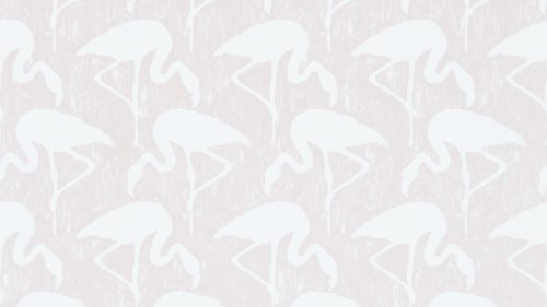 Flamingos-214565