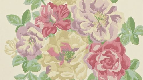 Midsummer Rose DCAVMI101