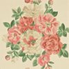 Midsummer Rose DCAVMI103