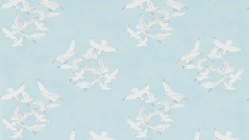 Seagulls-214585