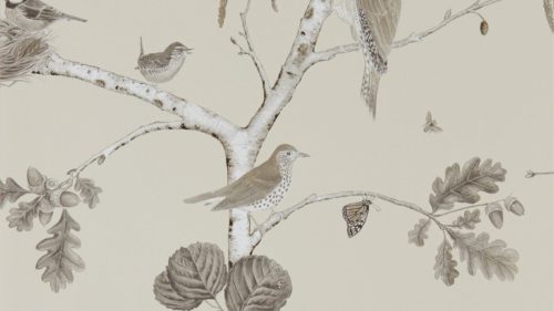 Woodland Chorus 215704