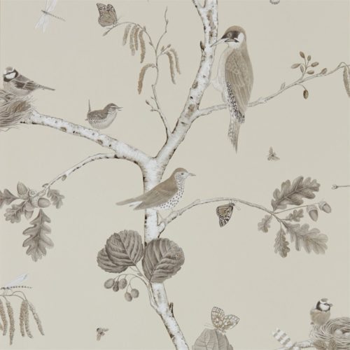 Woodland Chorus 215704
