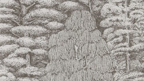 Woodland Toile 215716