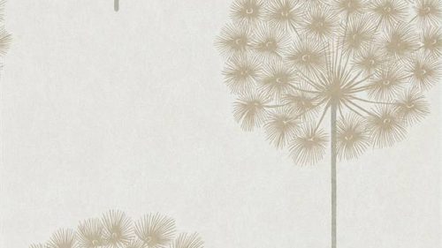Amity 111886